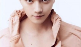 娱乐大v爆料许凯前女友,娱乐大V爆料背后真相