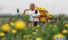 临西吕寨超限站最新爆料,揭秘超限治理背后的故事”