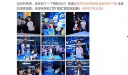 爆料揭秘视频大全集,独家爆料背后的真相全解析